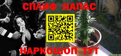 кокс Малоярославец
