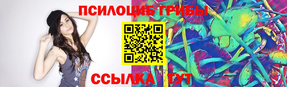 Галлюциногенные грибы мухоморы  Вход с VPN  Гусь-Хрустальный  хочу   Галлюциногенные грибы мухоморы 