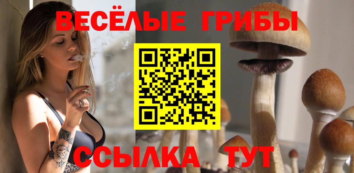 Галлюциногенные грибы Cubensis Гусь-Хрустальный